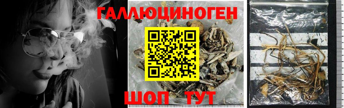 Галлюциногенные грибы GOLDEN TEACHER Губаха